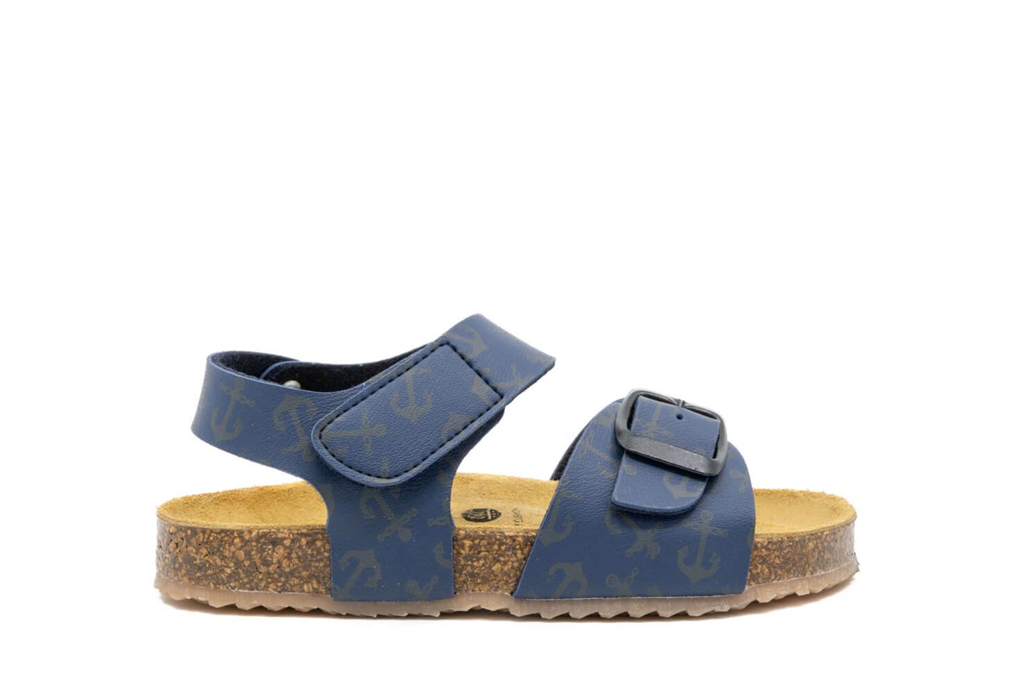 345216-bio-sail