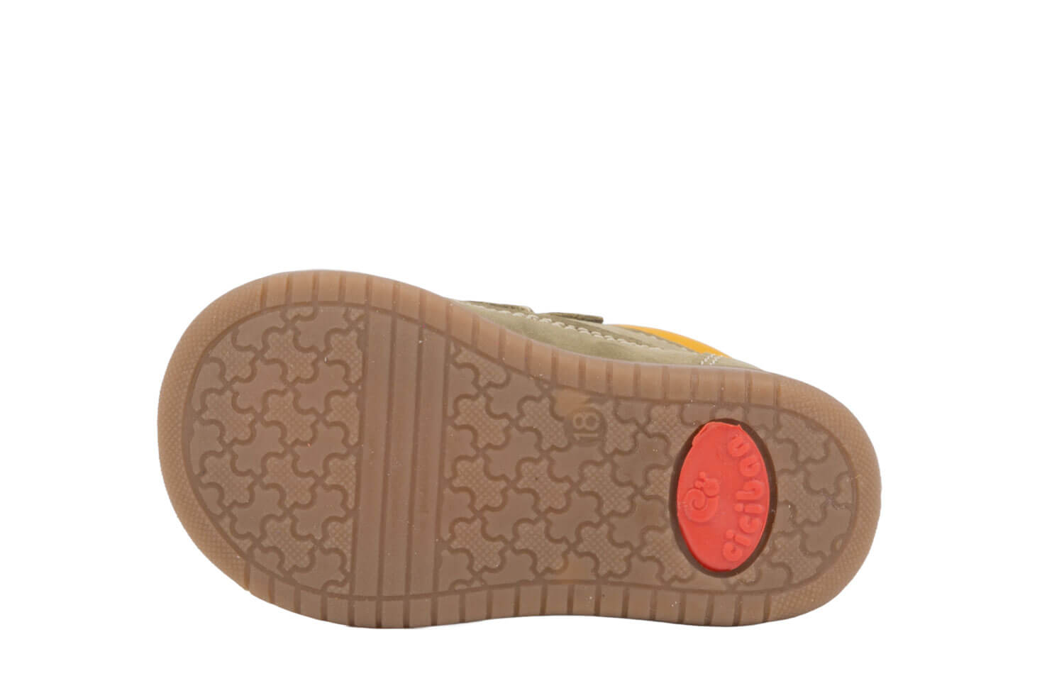 852005-marines-cactus-3