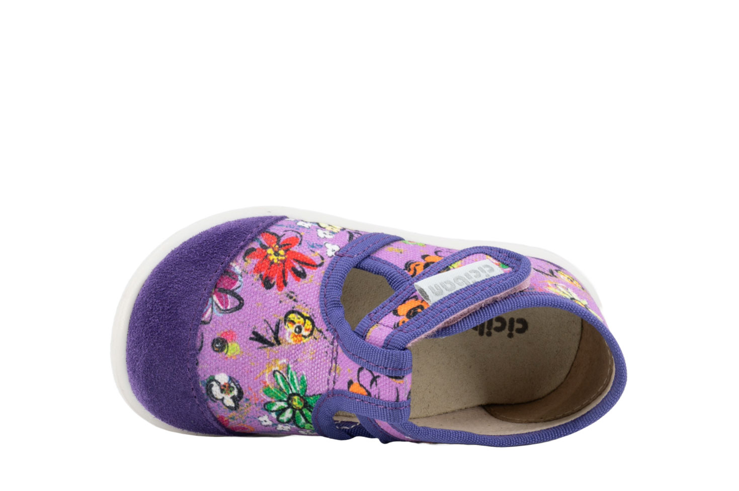 85493-ciciban-verbena-4