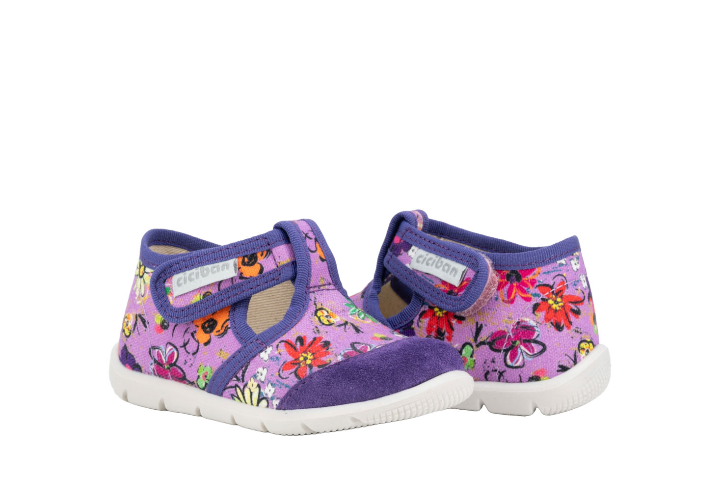 85493-ciciban-verbena-5