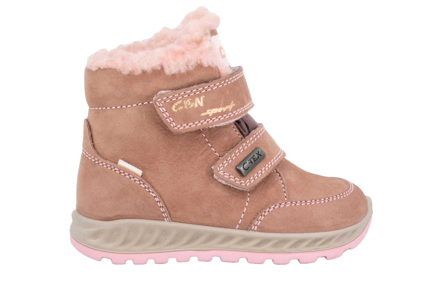 858377-teddy-rose