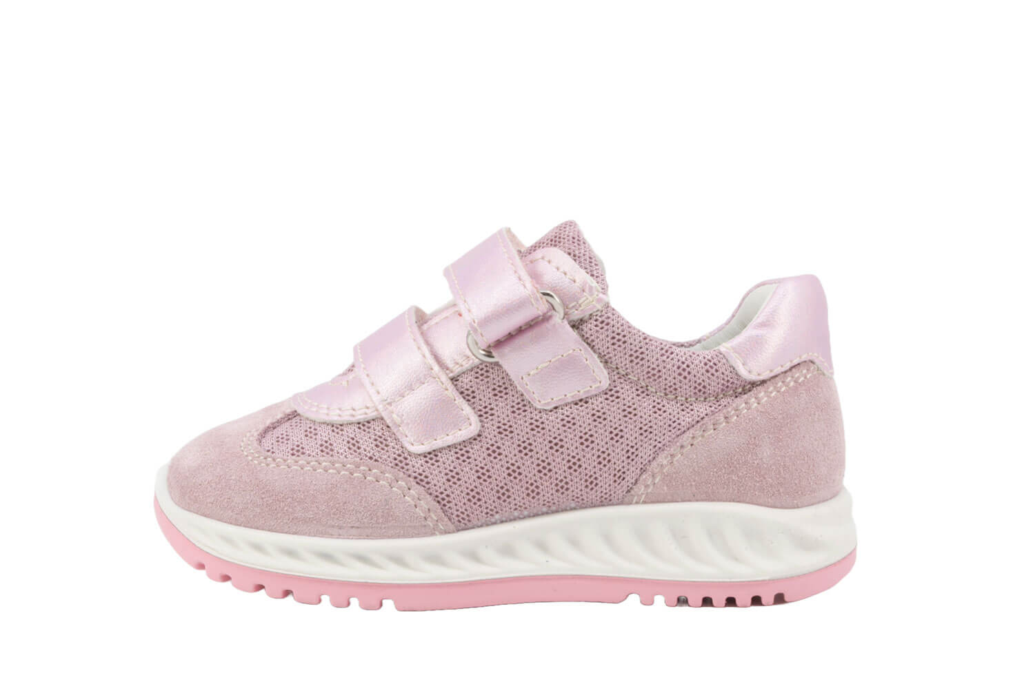 368314-sport-rose-2