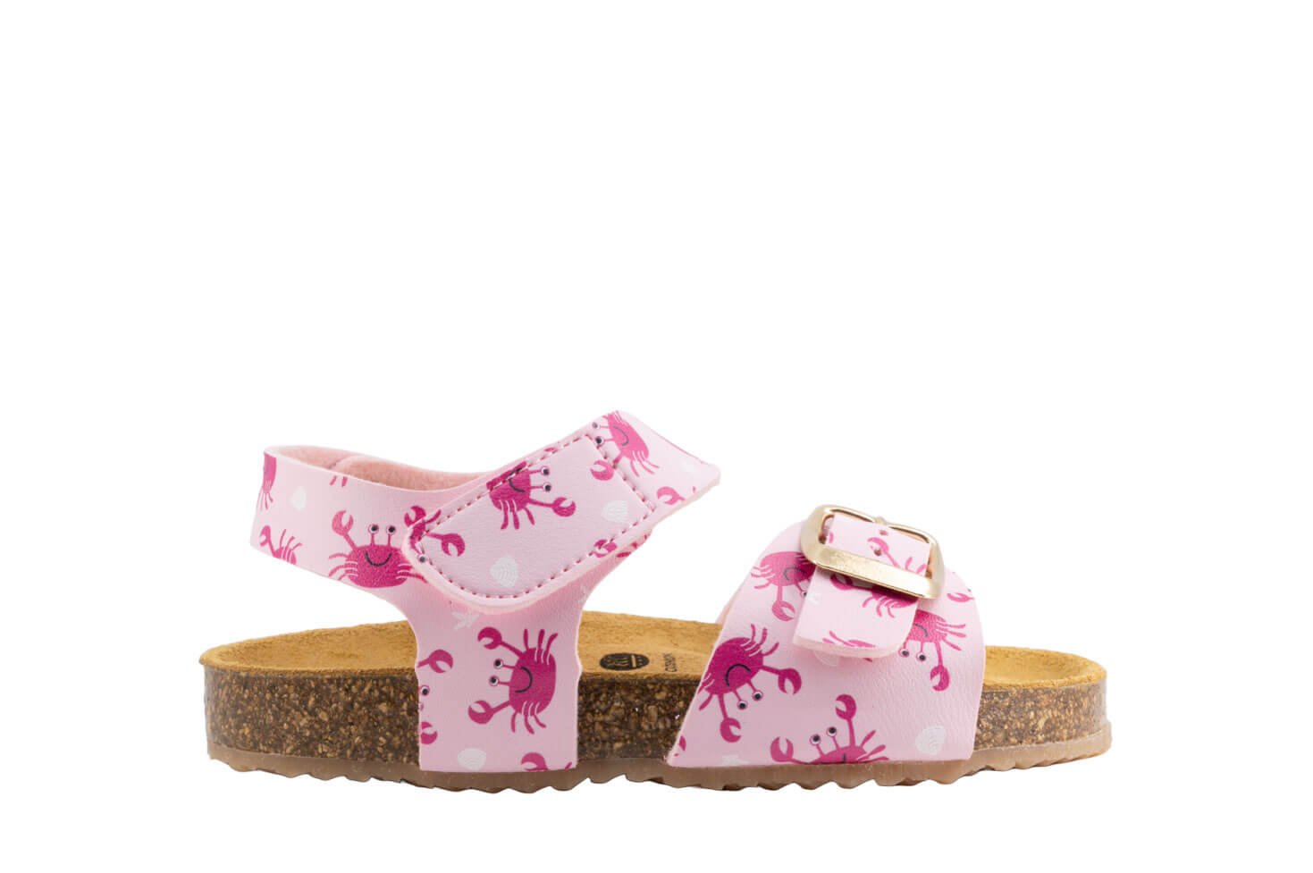 365215-bio-rosa